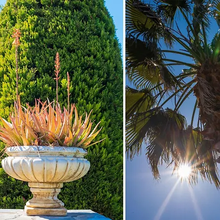 Apartament Christina'S Twin Palm Trees House Agria Zewnętrze zdjęcie
