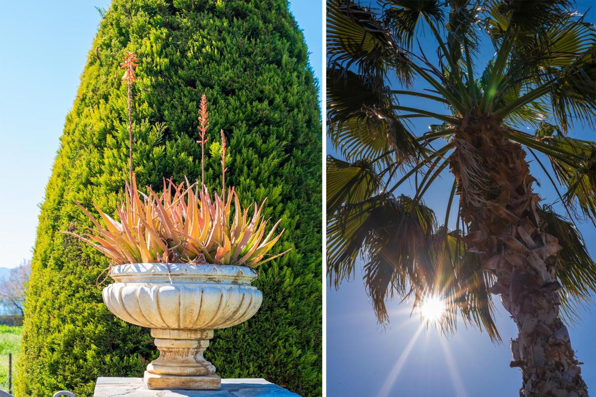 Christina's Twin Palm Trees House Apartment Agria